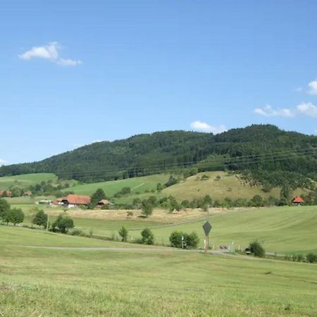 Sonniges, naturnahes Schwarzwald Ferienhäuschen Welschensteinach Exterior foto