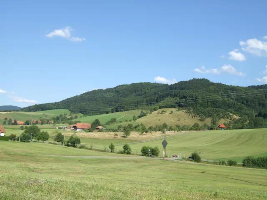 Sonniges, naturnahes Schwarzwald Ferienhäuschen Welschensteinach Exterior foto